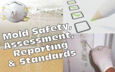 Mold Basics: Safety, Assessment, Reporting & Standards
